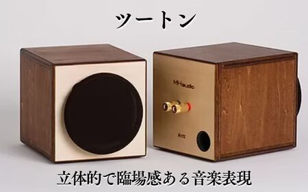 MHaudio 真空管オーディオセット ツートン