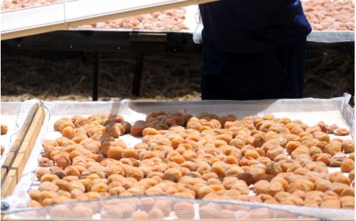 昔ながらのしょっぱい白干し梅 （塩分22％）３Ｌサイズ900g×3　 / 田辺市 紀州南高梅 南高梅 梅干し 梅干 梅 うめ 肉厚 お米 おにぎり 焼酎 梅酒 健康 白干し梅 塩分22％ ご飯のお供【