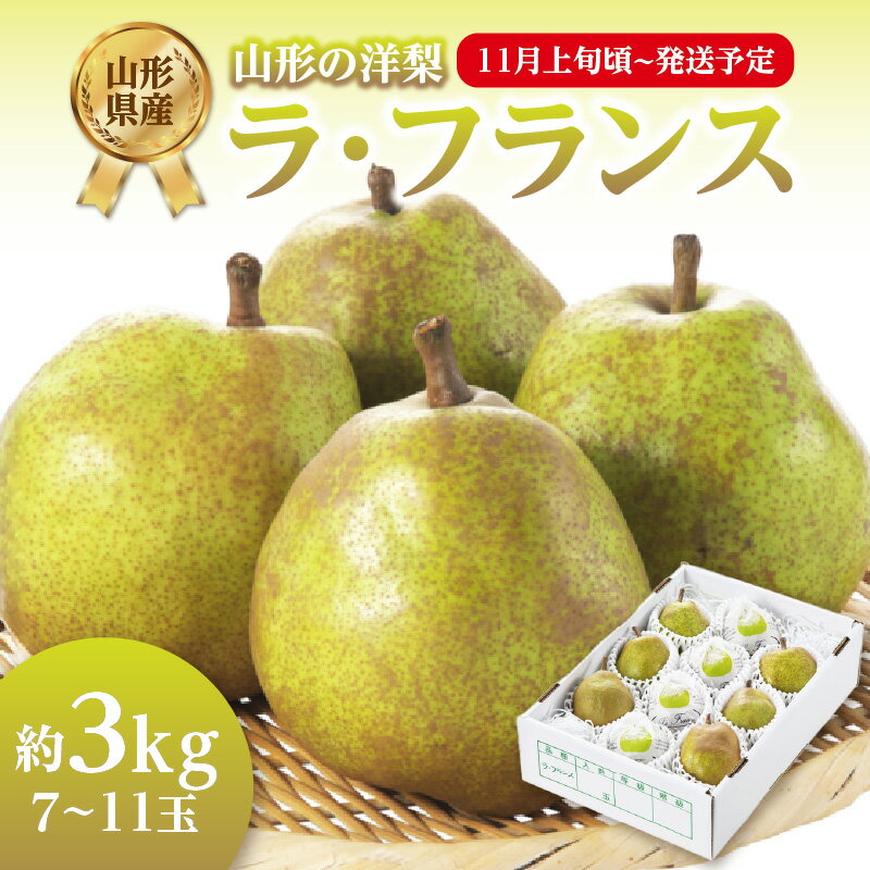 【ふるさと納税】 《先行受付》ラ・フランス 約3kg(7〜11玉)【2025年11月上旬頃〜発送予定】 ラフランス 洋梨 洋なし 果物 フルーツ 【山形県産洋梨】