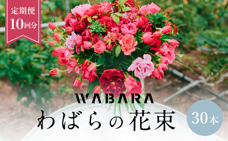 わばらの花束 30本定期便 １０回分 Rose Farm KEIJI  WABARA  記念日  國枝啓司  AT-0023