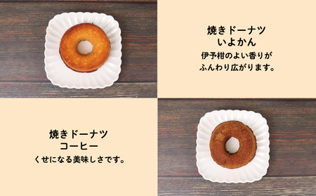 焼き菓子 セット 10個 グルテンフリー 手作りパン工房 みなみ えひめ南農業協同組合 米粉 あきたこまち 塩クッキー 2袋 焼きドーナツ 8個 プレーン いよかん コーヒー 抹茶黒豆 食べ比べ 食べ
