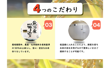 魚沼産川西こしひかり5kg