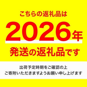 ＜先行予約！2026年12月上旬以降順次発送予定＞香川県産 温州みかん(約10kg/サイズミックス) 国産 果物 フルーツ ミカン 柑橘 新鮮 【man119-B】【Aglio nero】