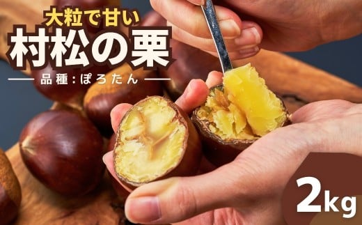 【先行予約】越後村松の栗 ぽろたん 2kg 新潟県 五泉市 村松特産振興協議会栗部会 2026年10月下旬から順次発送