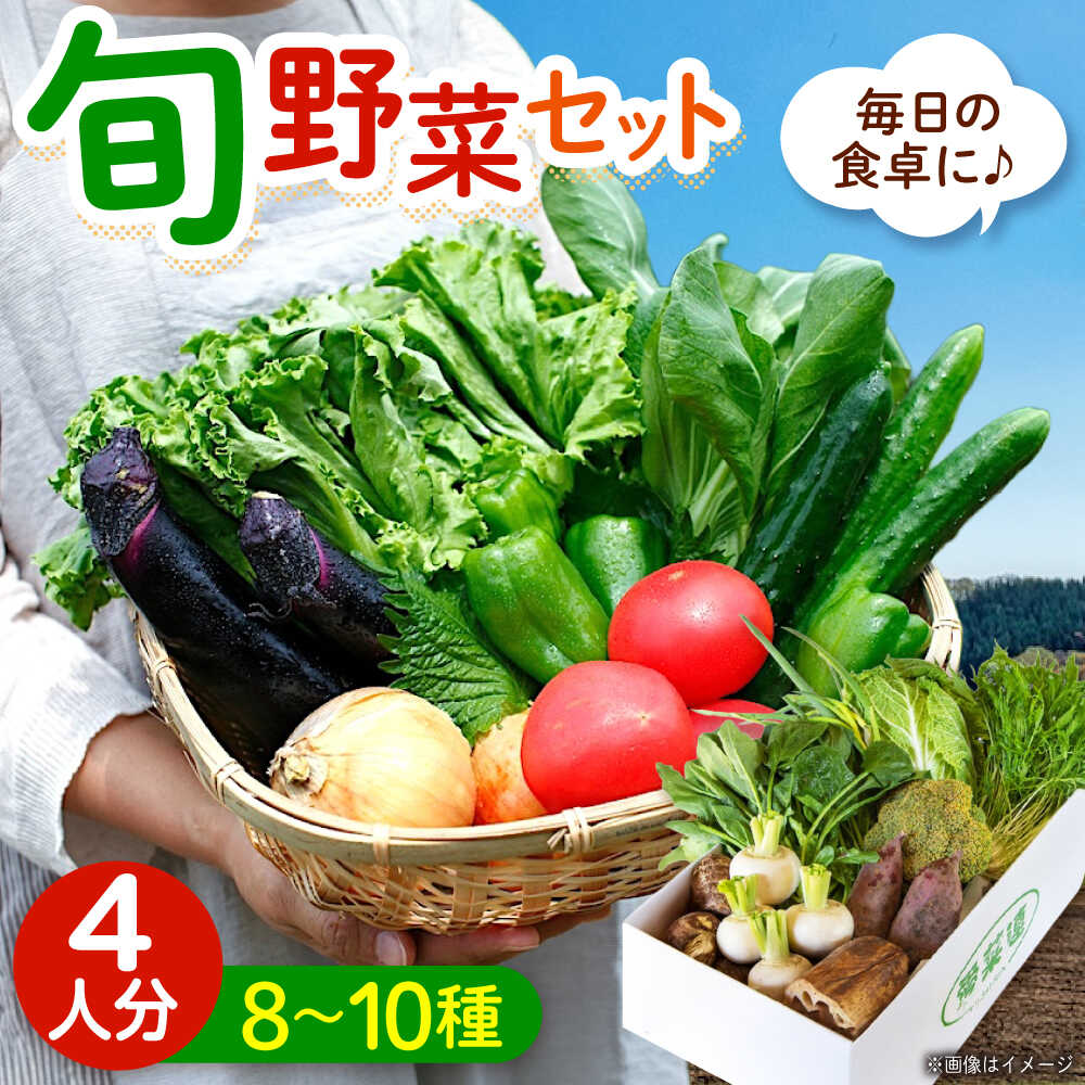 【ふるさと納税】愛菜連のおまかせ野菜パック（4人用）野菜詰合せ 旬 旬の野菜 野菜セット 産地直送 ミネラル ビタミン 豊富 おすすめ 人気 送料無料 新鮮 とれたて 季節の野菜 詰め合わせ 定期便 宅配 安心 健康 ふるさと納税 広島県福山市/マルフク株式会社[BAFW001]