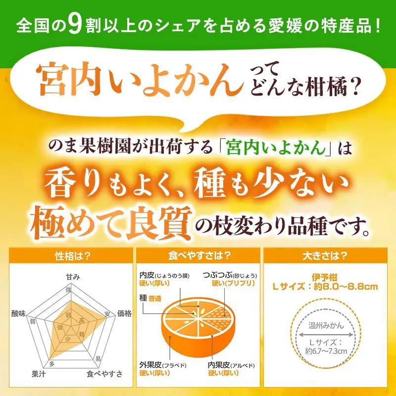 【先行予約】いよかんバラ詰め（1kg）