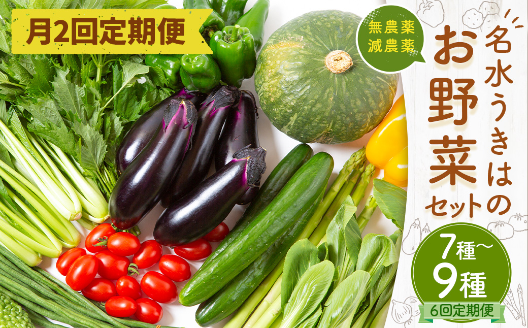【月2回定期便】UIC 名水うきはの無農薬減農薬お野菜セット (ひと月2回×3か月=計6回)