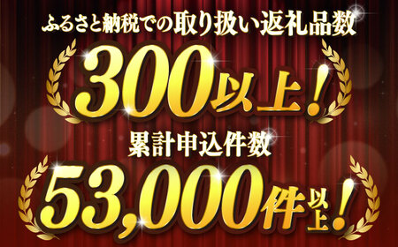 【定期便】A4ランク福岡県産糸島黒毛和牛プレミアムセット 毎月1回 合計12回 《糸島》 糸島ミートデリ工房 [ACA076] 黒毛和牛 和牛 牛肉 肉 牛肉ステーキ シャトーブリアンステーキ サーロ