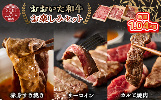 
おおいた豊後牛 お楽しみセット(カルビ焼肉・赤身すき焼き・サーロインステーキ)【1395461】
