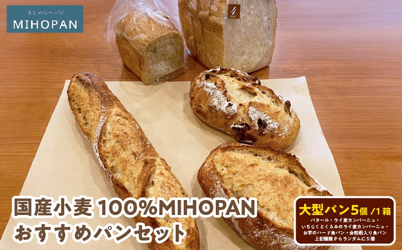 国産小麦100％MIHOPANおすすめパンセット（大型パン５個（バタール・ライ麦カンパーニュ・いちじくとくるみのライ麦カンパーニュ・お芋のハード食パン・全粒粉入り食パンの種類からランダムに５個）/１箱）