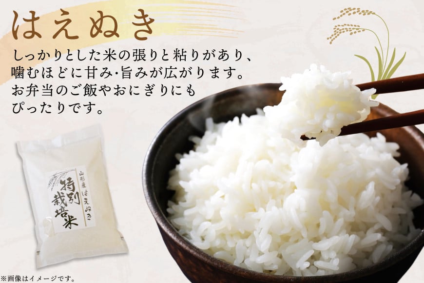 米 令和8年 はえぬき 10kg [渡部ファーム 山形県 高畠町 tk06ays810034] お米 白米 精米 ごはん ご飯 ブランド米