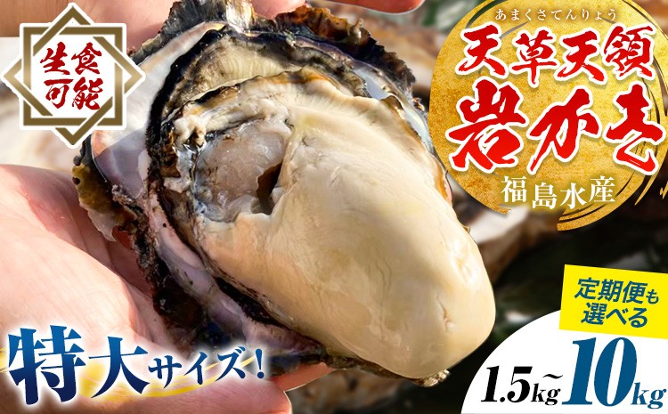 
                  【2027年先行予約】天領岩牡蠣 約1.5kg 約2.5kg 約5kg 2回定期便 選べる 福島水産《出荷時期をお選びください》熊本県 苓北町 牡蠣 かき カキ 岩カキ 岩ガキ 貝 BIG ビッグ 生食 バーベキュー 夏天草 天領 苓北 熊本 旬 シーズン 送料無料【配送不可地域あり】
                