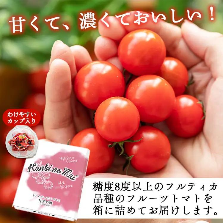 トマト フルーツトマト 12パック(150g×12) 高糖度〈2026年12月以降順次配送〉 個包装 kr-0084