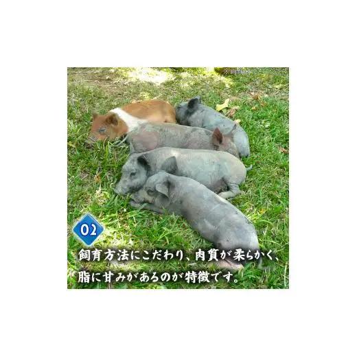 【 とんかつ 】 とんかつ 480g