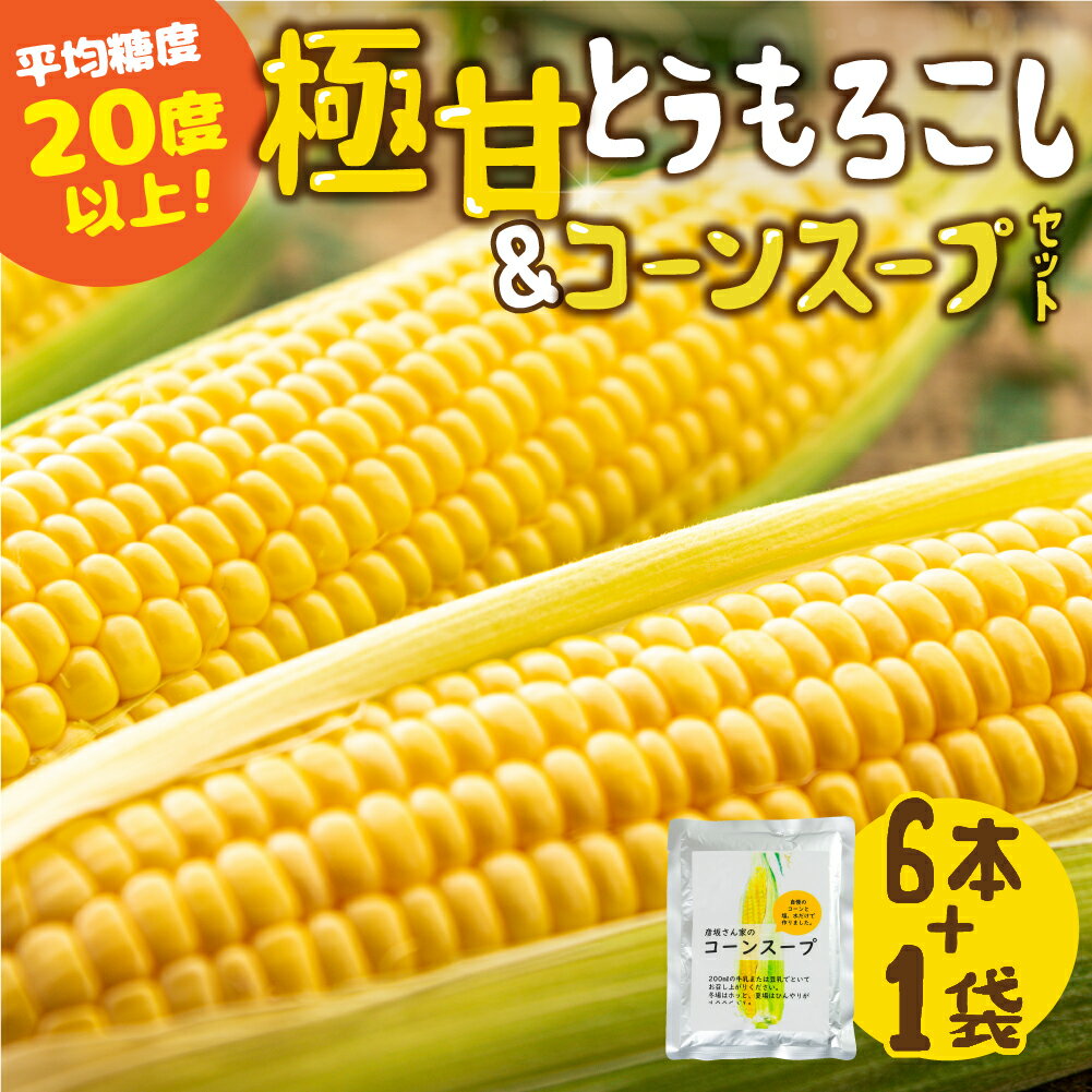 【ふるさと納税】＜先行予約＞発送時期が選べる レビュー 高評価 ☆5 濃厚 極甘とうもろこし ＆ コーンスープ セット 無添加 おうちで極上 スープ とうもろこし コーンスープの素 人気 産地直送 甘い 送料無料 数量限定 簡単 常温 田原市 トウモロコシ コーン