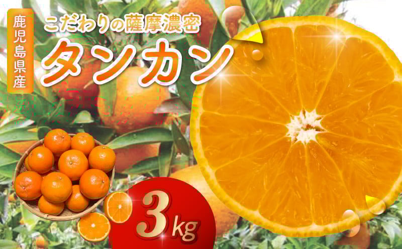 
            002-13 こだわりの薩摩濃密タンカン3kg
          