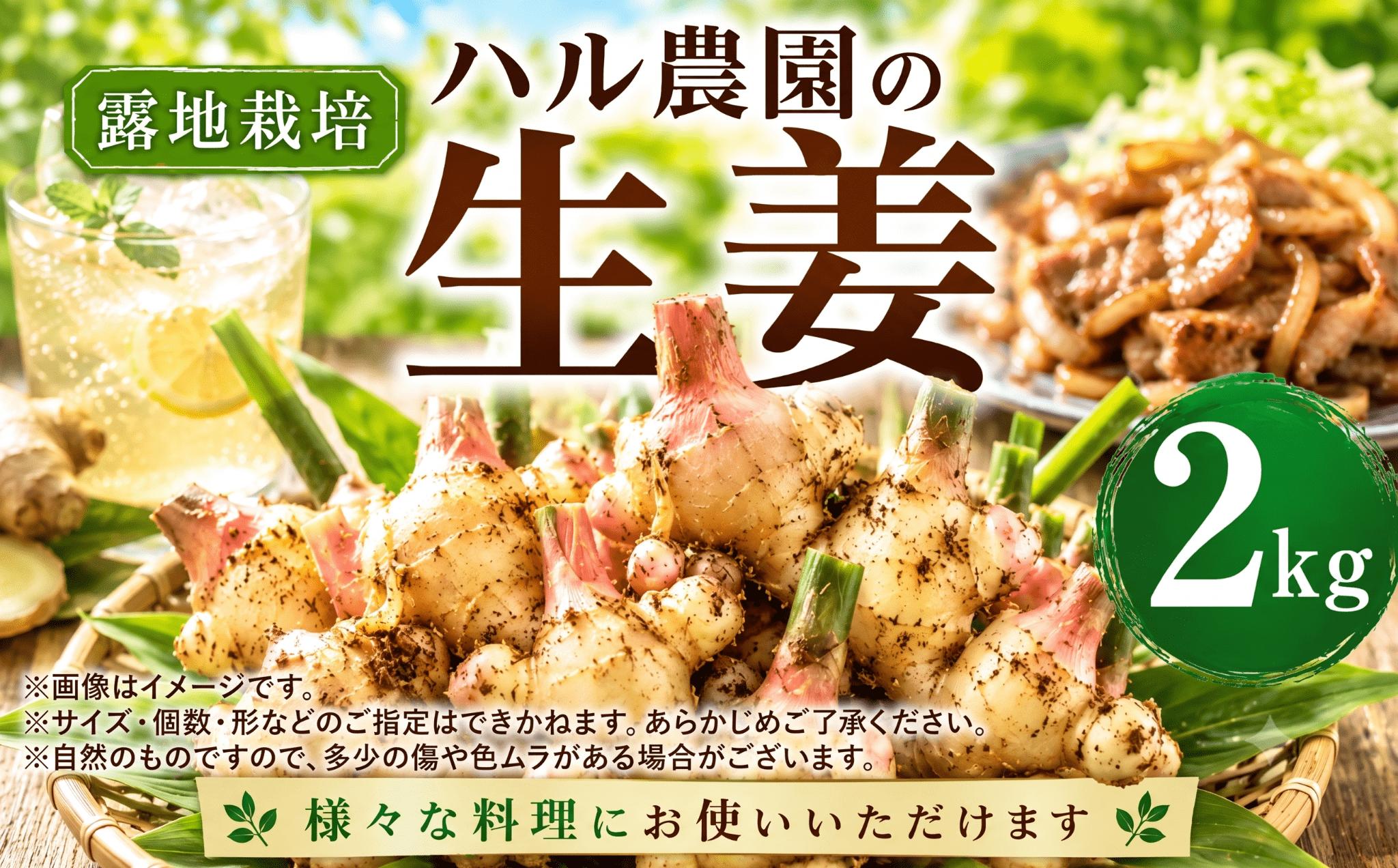 
                  【先行受付】【チョイス限定】ハル農園の新しょうが 2kg ハル農園 生姜 数量限定 新生姜 生姜焼き シロップ  ジンジャーエール 甘酢 露地栽培 ジャム 秋 旬 国産 野菜 薬味 愛媛県 愛南町 お試し 試供品 5000円
                