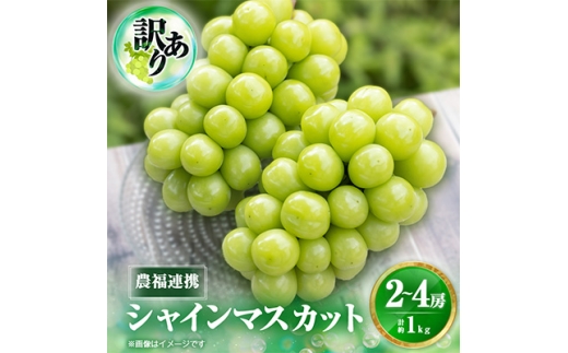 2026年先行受付＜見た目は訳あり?味は満足!＞農福連携シャインマスカット計1kg＜ご家庭用＞【1679907】