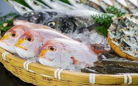 獲れたら発送！！地魚セット(高田魚市場) | 豊後高田市 魚セット