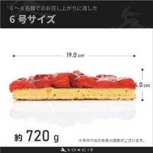 【着日指定可】誕生日ケーキ 苺 のコンポート タルトケーキ 6号 直径19cm 6人～8人分 720g 【バースデー飾り付】 スイーツ ギフト いちご | タルト 【IT016】
