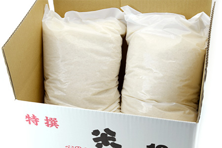 【令和7年産 新米 先行予約】 にこまるちゃん 計10kg (5kg×2) お米 精米 新米 令和7年度 多良木 熊本 001-0414