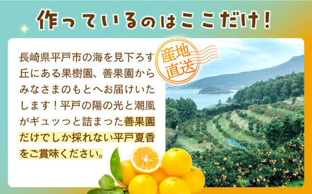 【全3回定期便】【自家栽培の柑橘のみを使用】みかん ジュース 3本 セット【善果園】[KAA524]