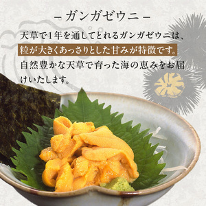 S002-024_殻出し生うに（ガンガゼウニ）50g×2本 うに用醤油付 生うに ミョウバン 不使用 天然 濃厚 新鮮 無塩 高評価 ガンガゼウニ ウニ 瓶詰 海鮮 軍艦巻き うに丼 うにパスタ お取