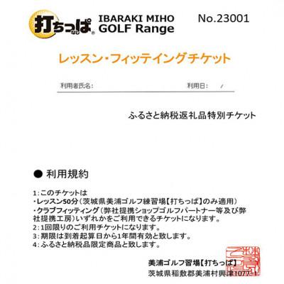 ふるさと納税 美浦村 UP08 ゴルフ練習用GRパターマット153(1.5m×3m)+美浦村ゴルフレッスン・チケット1枚 |  | 03