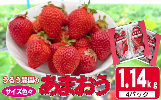 
                  いちご 2027年2月下旬より発送 うるう農園のあまおう サイズ色々4パック 約1.14kg※配送不可：離島 果物 フルーツ デザート 食後 特別栽培 福岡県産 国産 日本産 
                