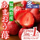 【ふるさと納税】＜容量を選べる・先行予約受付中！2024年11月下旬から2025年1月下旬にかけて順次発送予定＞あまおう苺・冬(計約500g or 1kg)いちご 苺 フルーツ 果物 くだもの 福岡限定 家庭用 冷蔵 ＜離島配送不可＞【ksg0031・ksg0032】【南国フルーツ】