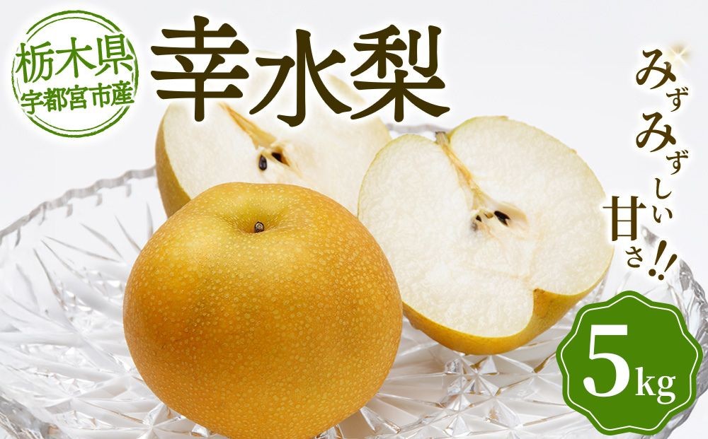 
                  宇都宮産 梨「幸水」5kg箱（旬の朝採り・みずみずしい甘さ） | なし 和梨 旬 果物 くだもの フルーツ 新鮮 ※2026年8月～発送
                