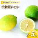 【ふるさと納税】 【10月から発送】 レモン 2kg / 5kg / ( 14 -18玉 ) / ( 35 - 45玉 ) 檸檬 数量限定 愛媛県産 松山市 中島