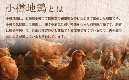小樽地鶏の ハンバーグ 150g×20パック 合計3,000g