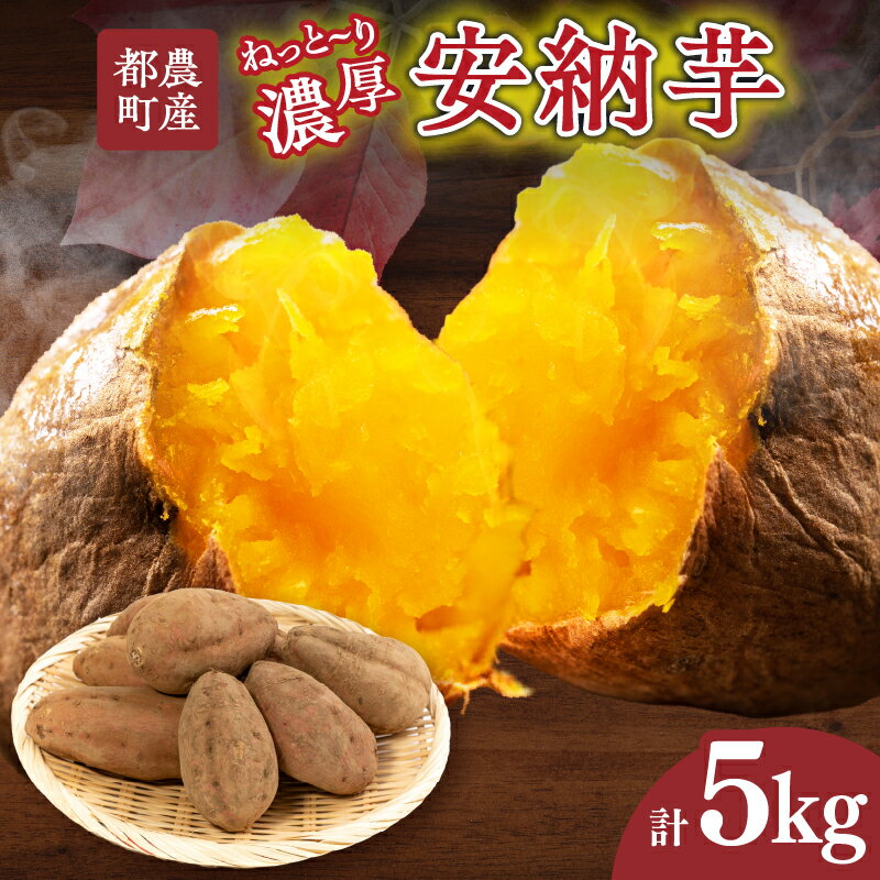 【ふるさと納税】先行予約 期間限定 都農町産 安納芋 計5kg 野菜 やさい 青果 芋 さつまいも 産地直送 焼き芋 蒸しいも 甘い 濃厚 とろける スイートポテト いも天 おやつ おすそ分け お取り寄せ グルメ お試しサイズ おうち時間 おすすめ 国産 宮崎県 送料無料