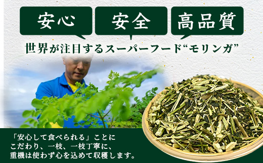 佐多岬 モリンガ茶 茶葉 240g ( 80g×3袋 )