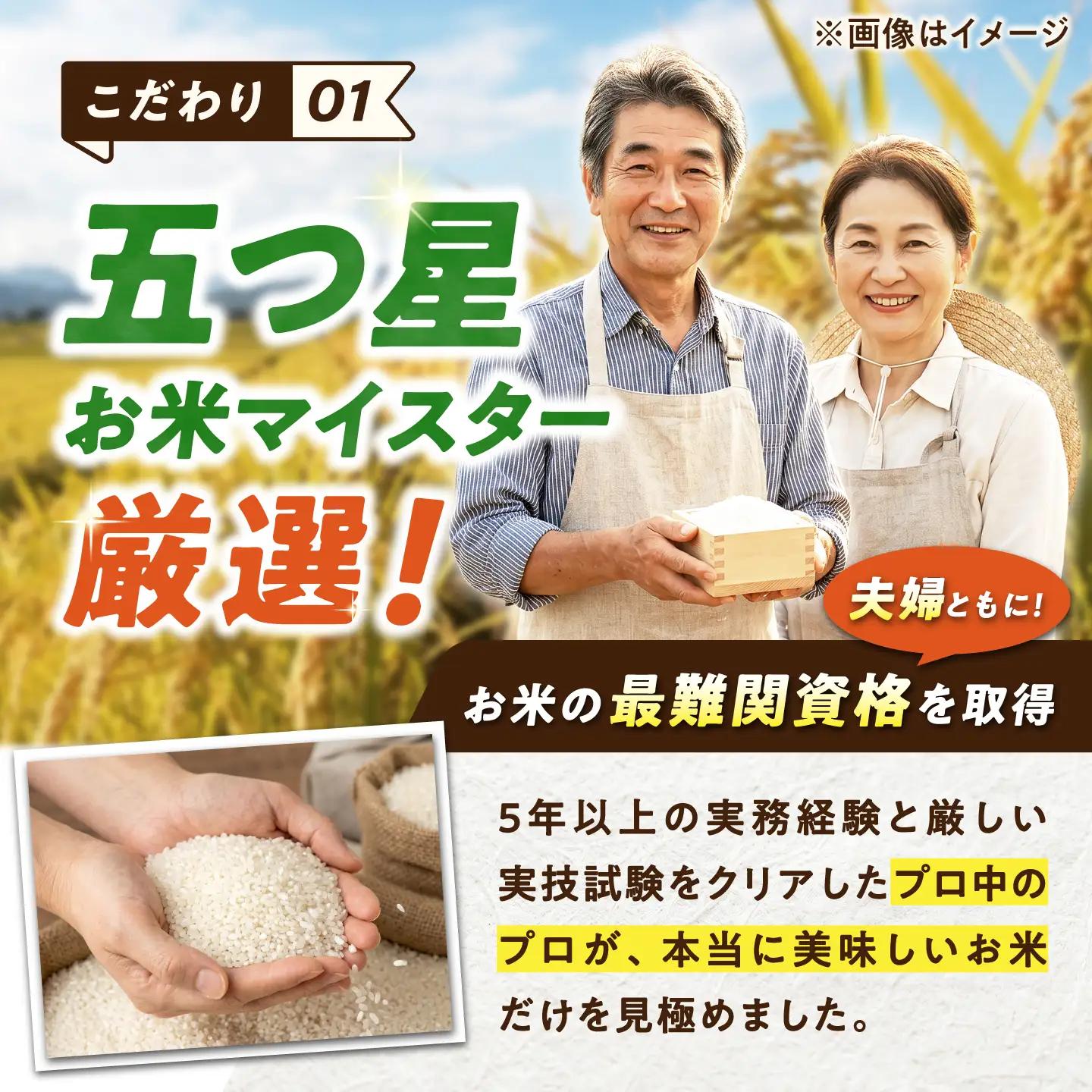 【3回定期便】 無洗米 さがびより 5kg（5kg×1袋） 無洗米 お米 白米 精米 佐賀県産 米 /大塚米穀店[UFE002]