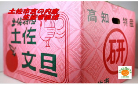 【先行予約】三宮果樹園の土佐文旦 家庭用5kg〈2027年2月14日から2027年3月15日発送〉高知県 土佐市【三宮果樹園】[BQAP002]