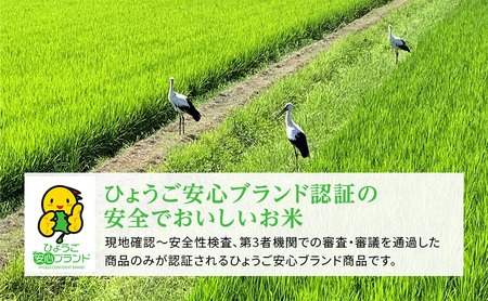 きぬむすめ 白米 単一原料米 きぬむすめ【6kg(3kg×2袋)】【定期便3ヶ月】