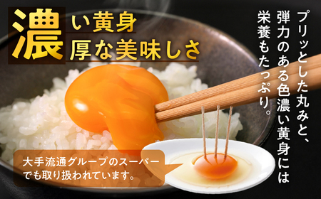 【3回定期便】農場たまご めぐみ 30個 割れ保証付き たまご