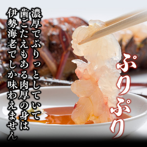 伊勢えび 約1kg 産地直送 冷凍 伊勢えび