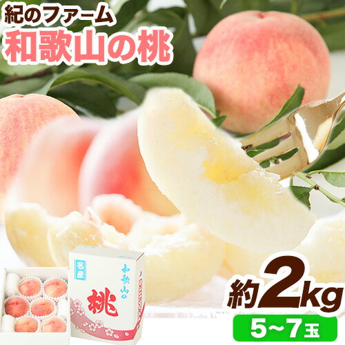 【ふるさと納税】【贈答用/熨斗非対応】和歌山の桃 2kg 紀のファーム 《2025年6月上旬-8月中旬頃出荷》 和歌山県 紀の川市 モモ 桃 もも 果物 くだもの フルーツ 送料無料 化粧箱入