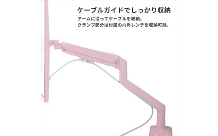 モニターアーム デュアル 耐荷重9kg/1本 ホワイト/白 PSW1DWH【 神奈川県 小田原市 】