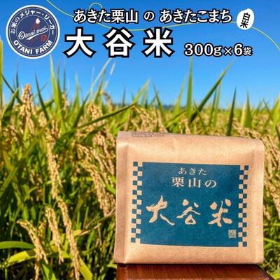 ふるさと納税 能代市 令和7年産 白米 精米 あきた栗山 大谷米 あきたこまち 300g×6袋[No.5335-1502]