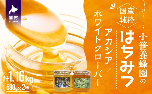 国産純粋完熟はちみつ大瓶セット(アカシア・ホワイトクローバー)580g×2本[16-1524]