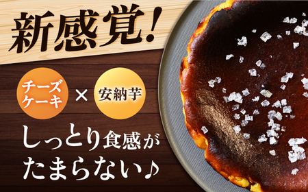 チーズケーキ 塩あんのう ケーキ スイーツ チーズ 塩 安納芋 [RBA003] チーズケーキ チーズケーキ チーズケーキ九州 長崎 スピード発送 最短発送 