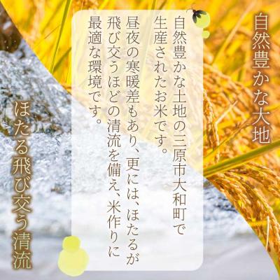 ふるさと納税 三原市 【3ヶ月定期便】ほたる米「大和の里」広島こしひかり 5kg [066-002] |  | 01