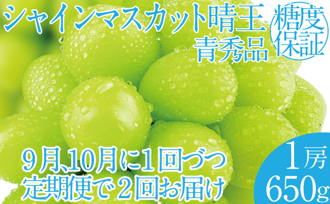 2026年 先行予約受付中【2回定期便】シャインマスカット晴王1房 約650g×2回 岡山県産 種無し 皮ごと食べる みずみずしい 甘い フレッシュ 瀬戸内 晴れの国 おかやま 果物大国 ハレノフルーツ