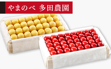 《先行予約》2027年産 山形県産 月山錦・紅秀峰 桐箱詰め 約700g×2（2L以上）やまのべ多田耕太郎のさくらんぼ サクランボ F20A-065