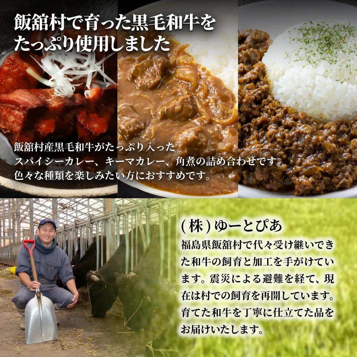 飯舘産黒毛和牛レトルト10食セット ITTAH005