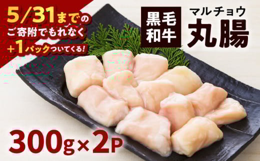 黒毛和牛丸腸（ホルモン）300g入り×2パック　K130-001_cp